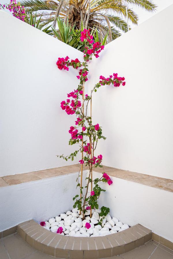 Ds Traditional Villas Santorini Island 카르테라도스 외부 사진