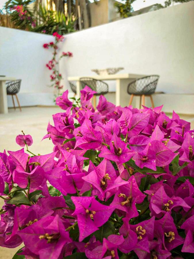 Ds Traditional Villas Santorini Island 카르테라도스 외부 사진